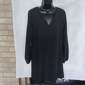 Covington long sleeve dress, work or play